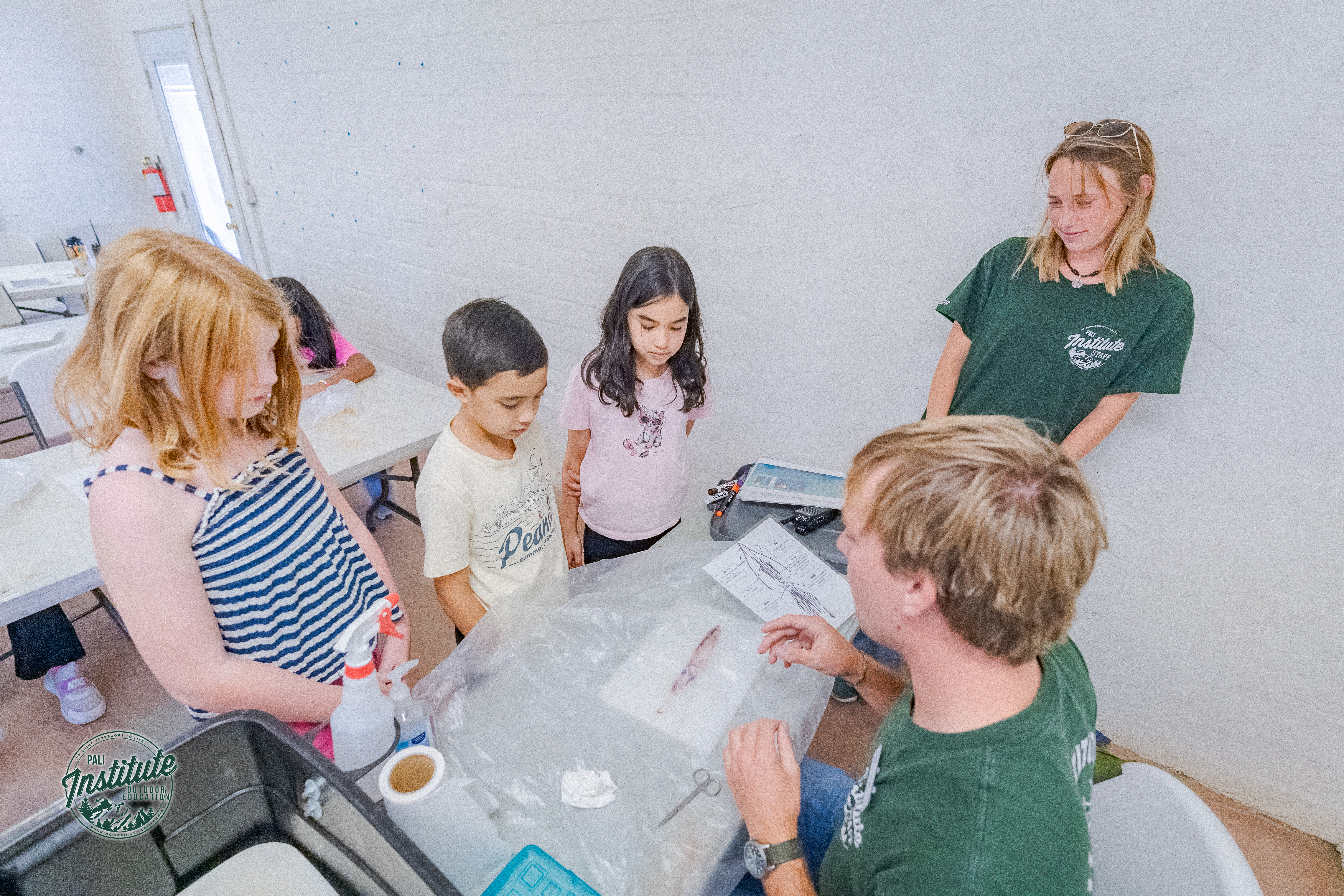 Adventure, Discovery, and Friendship: 4th Grade Takes on Pali Institute